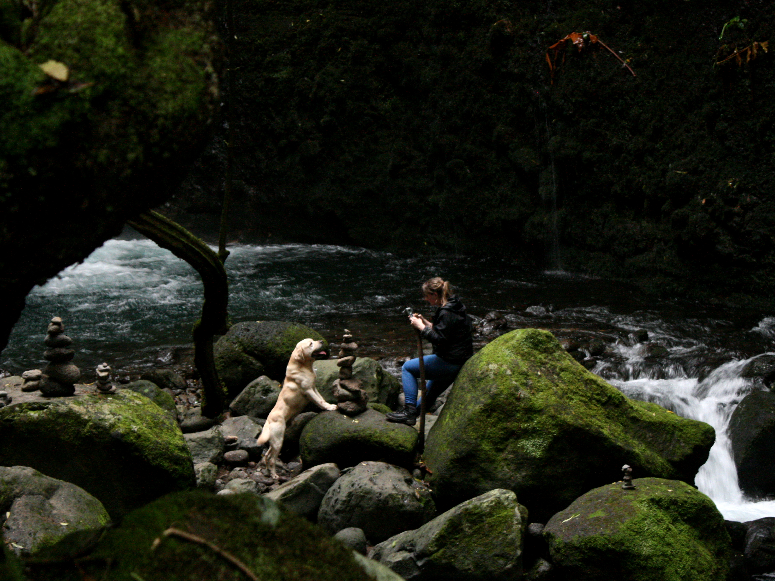 Wasserfall mit Hund Sao Miguel Azoren Wandern