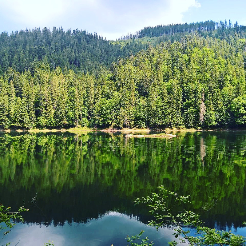 Lake Syvenir Ukraine natur karpaten