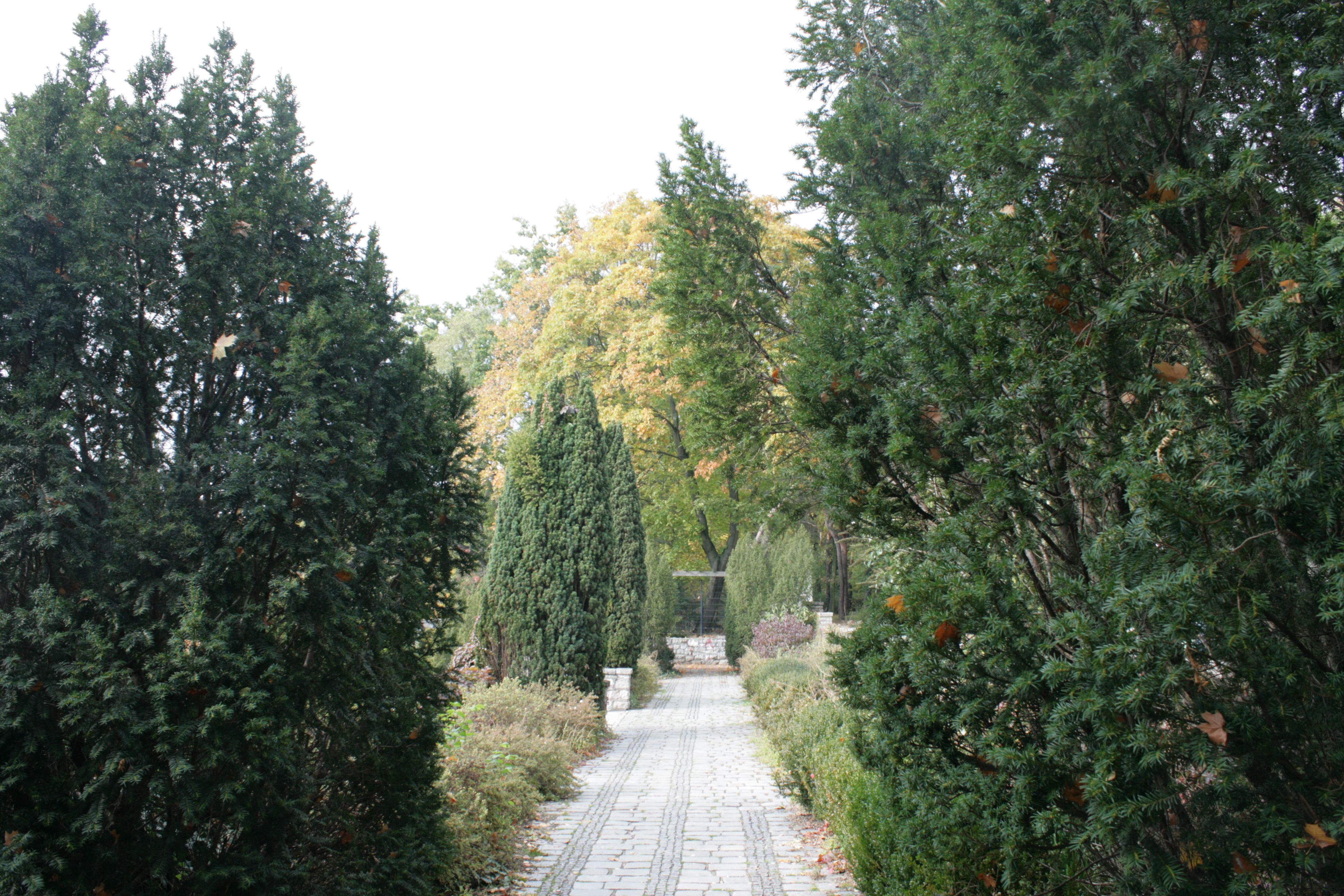 ausblick ploetzensee berlin stein seite