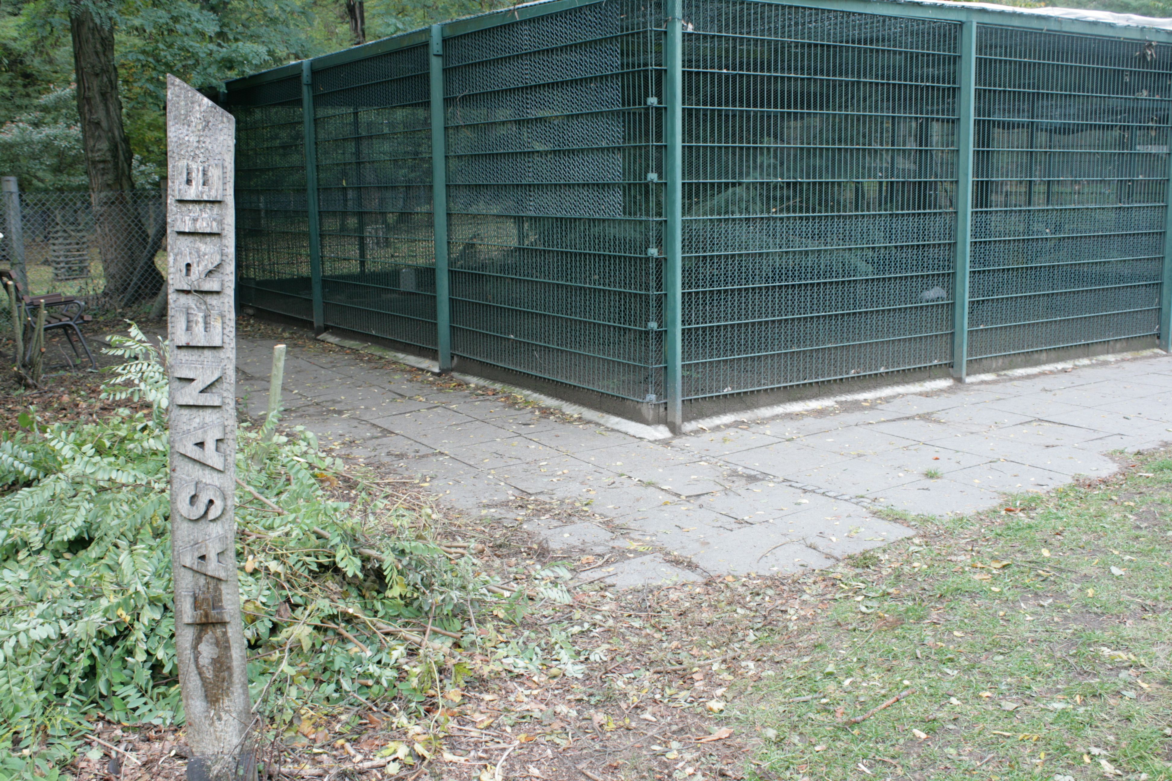 fasanengehege berlin rehberge