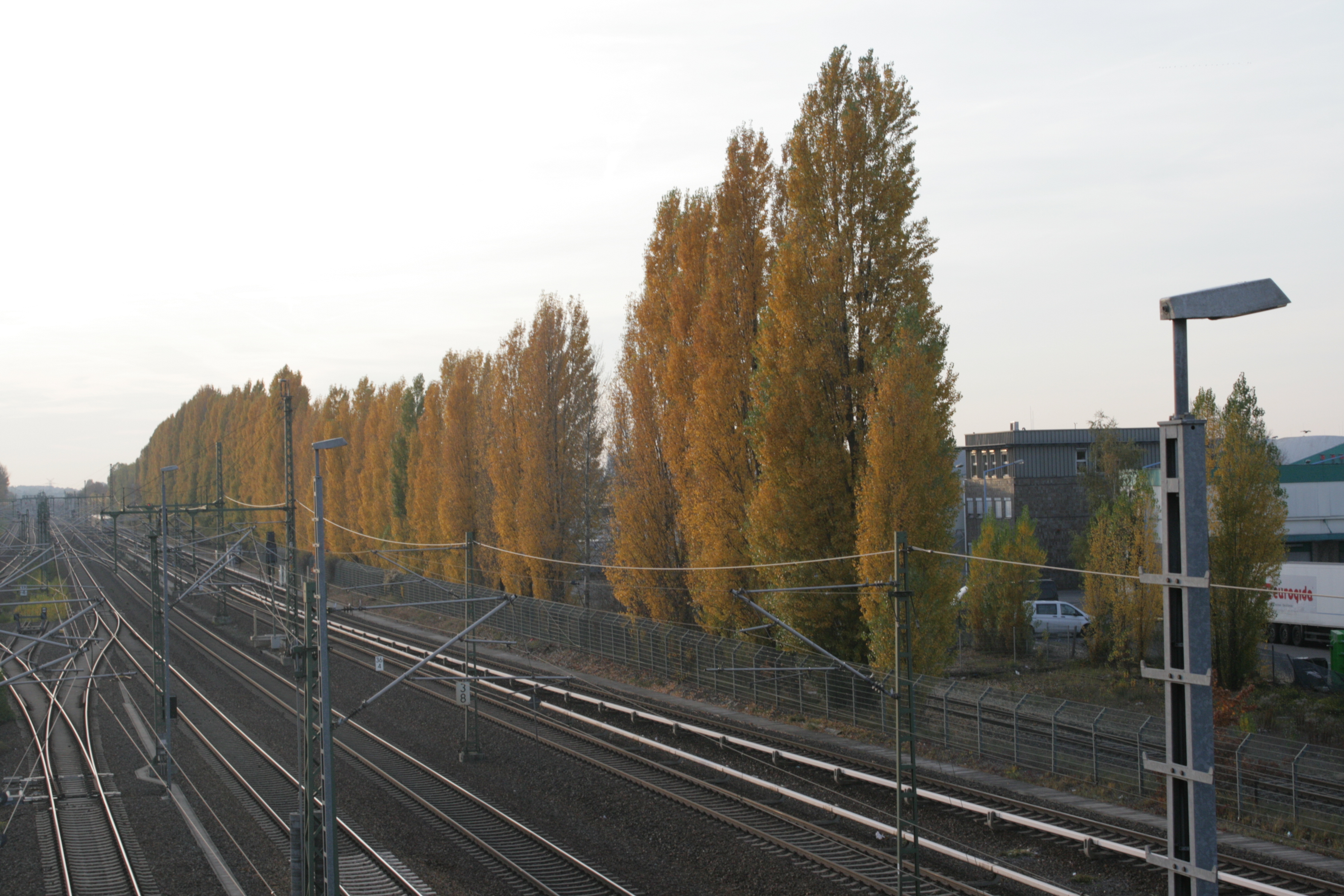 S Bhf Beusselstr Schienen