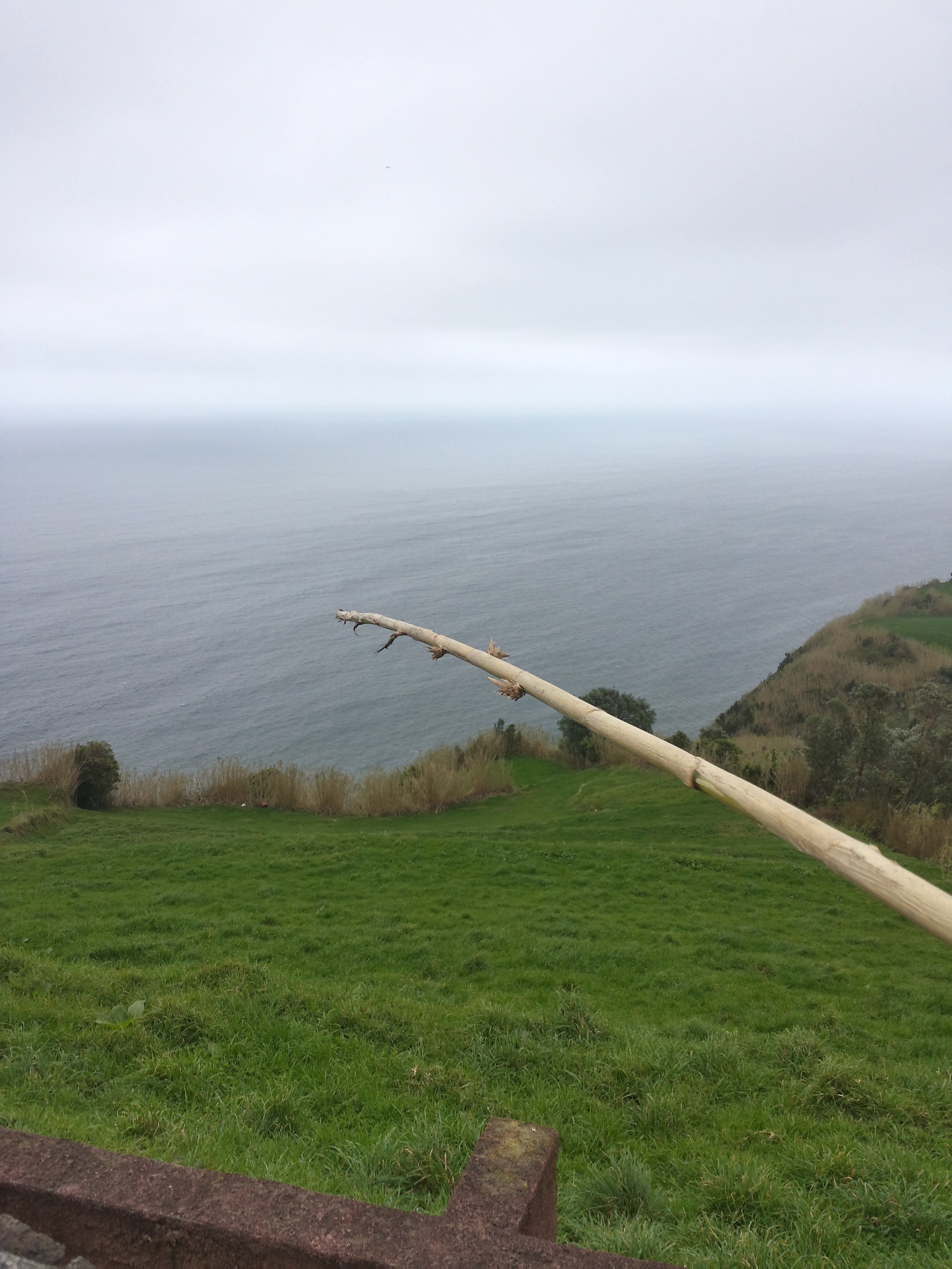 Azoren Insel Sao Miguel im Februar grüne Wiesen Meer Atlantik