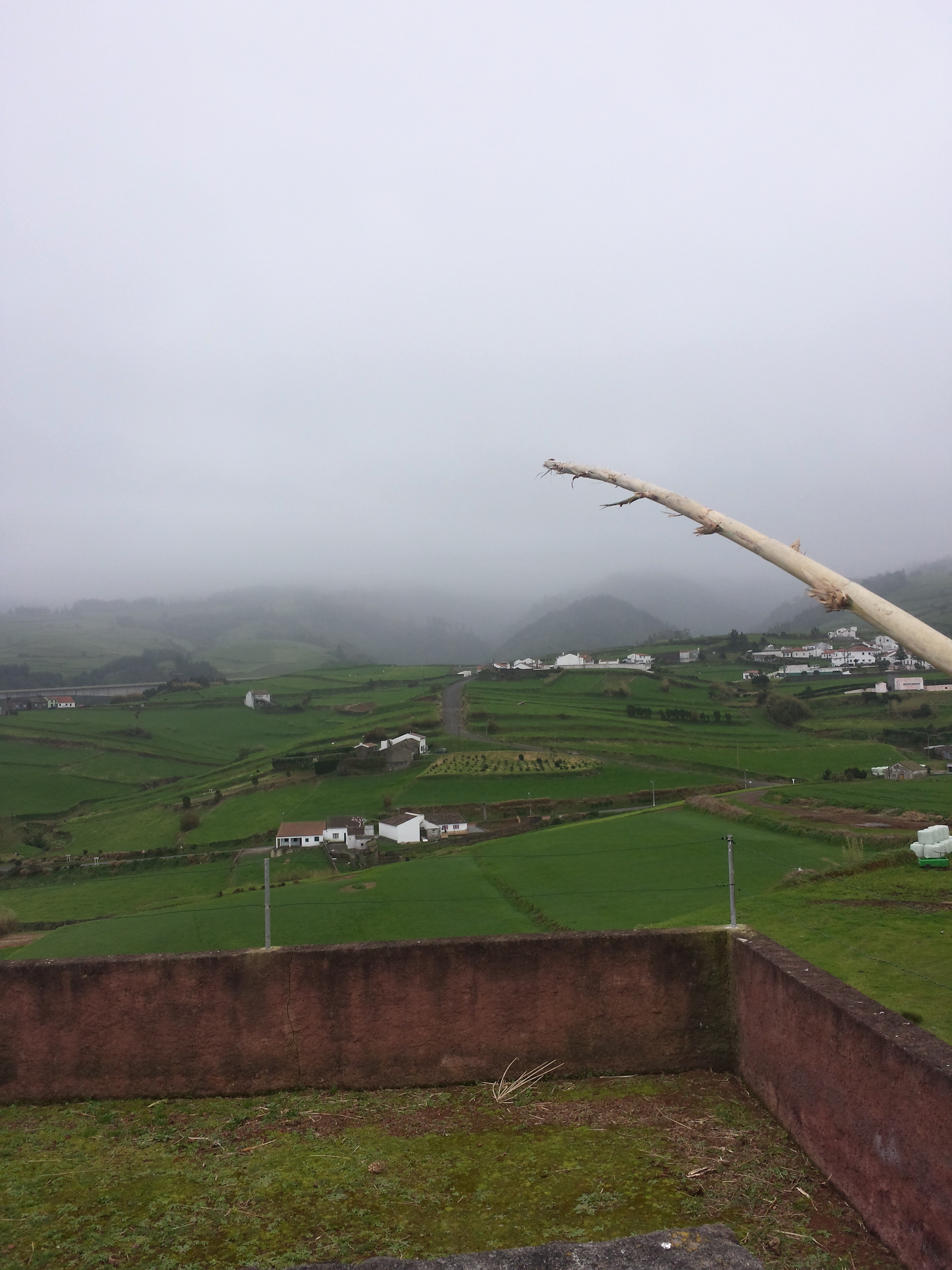 Azoren Insel Sao Miguel im Februar höchster Berg Portugal grüne Wiesen