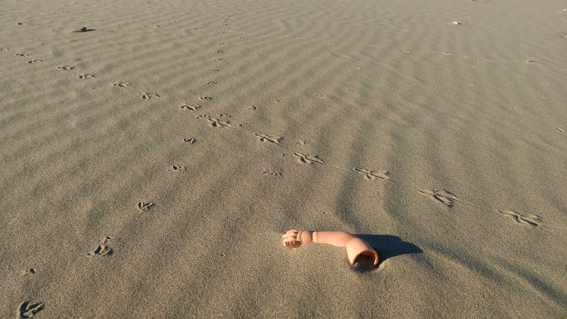 strand verschmutzung muell apokalypse